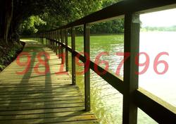 Blk 446 Bright Hill Drive (Bishan), HDB Executive #85636282